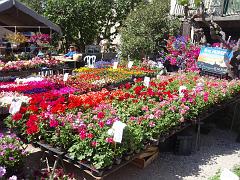 Picstloup (1)